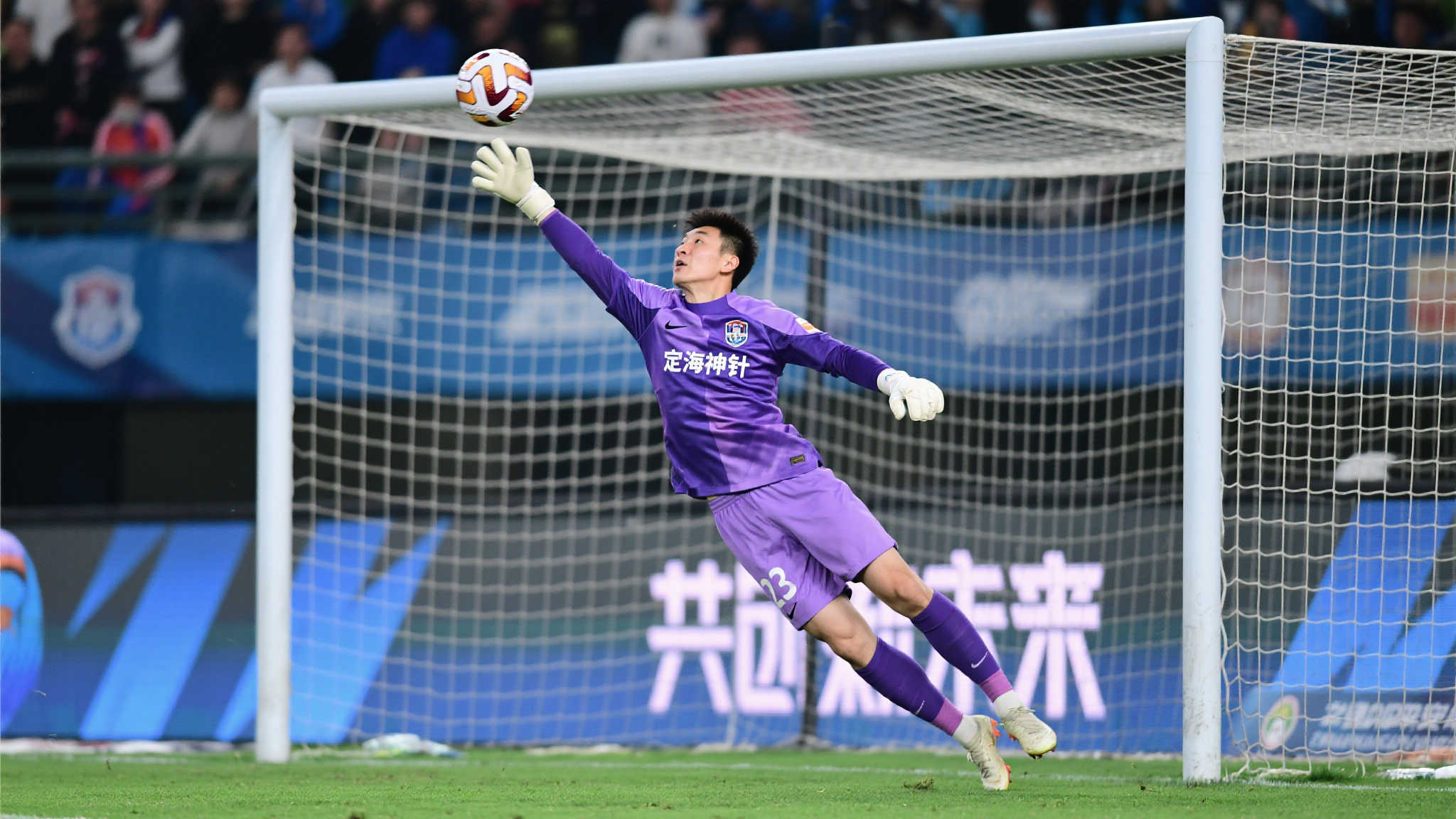 的全明星級 的全明星級